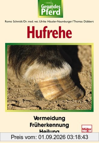 Hufrehe. Gesundes Pferd.