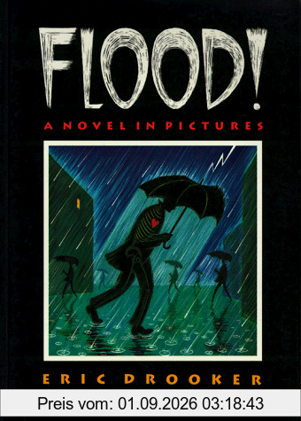 Flood!: A Novel in Pictures
