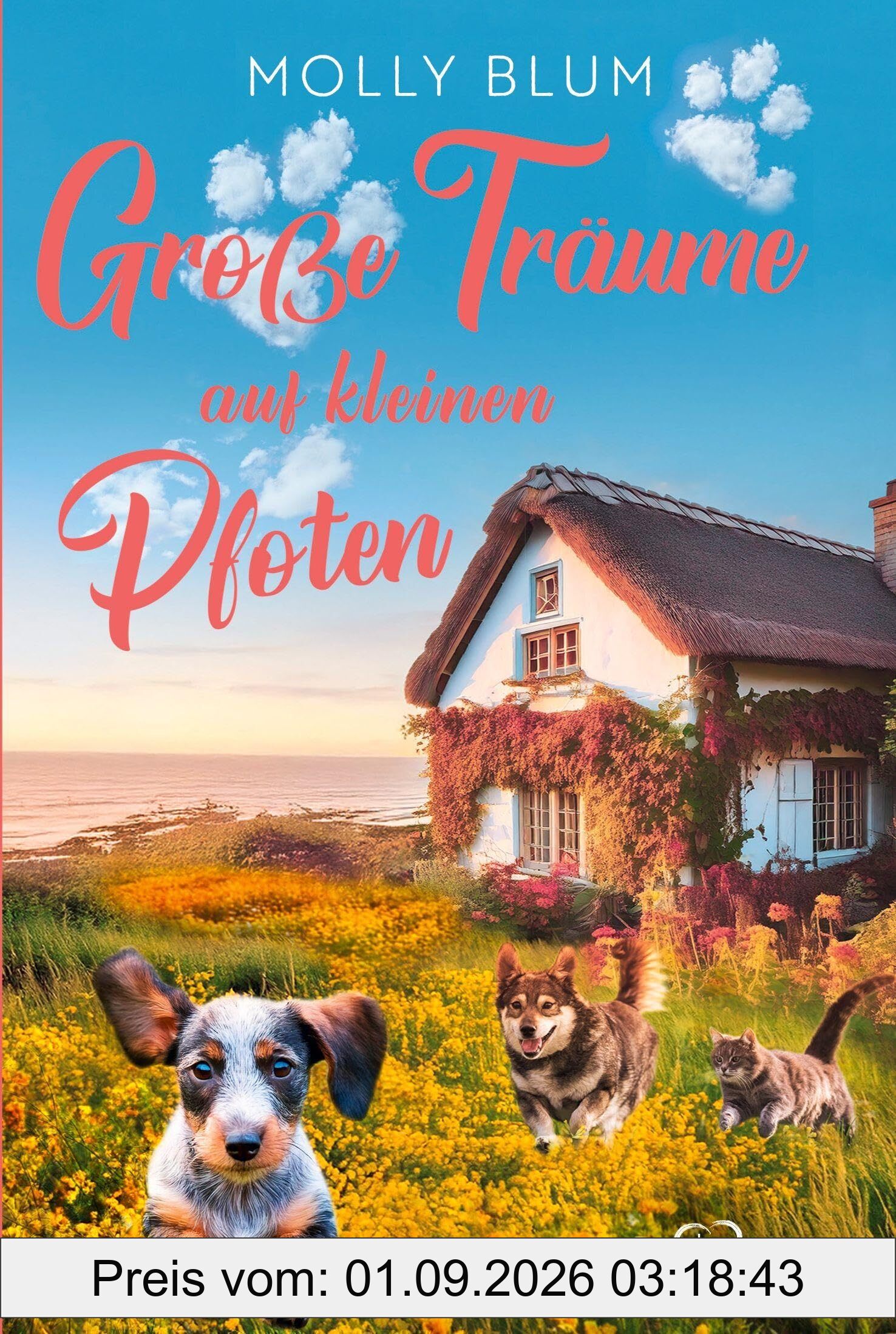 Große Träume auf kleinen Pfoten: Ein wunderschöner Roman über ein kleines Tierheim in Cornwall, in dem Hunde und Herzen ein Zuhause finden. (Vier ... Liebes- und Tiergeschichten, Band 4)
