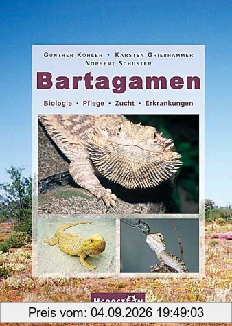 Bartagamen: Biologie, Pflege, Zucht, Erkrankungen