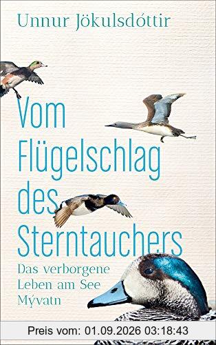 Vom Flügelschlag des Sterntauchers: Das verborgene Leben am See Mývatn