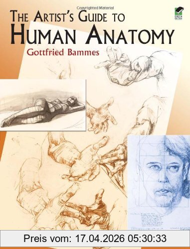 Gottfried Bammes The Artist's Guide To Human Anatomy (Dover Anatomy For Artists)