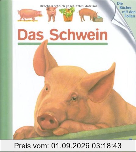 Das Schwein
