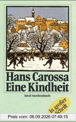 Eine Kindheit. Großdruck.