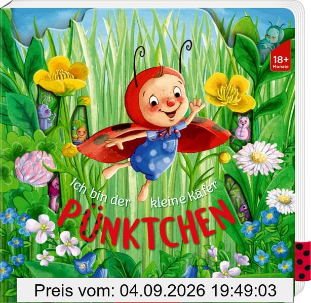 Ich bin der kleine Käfer Pünktchen