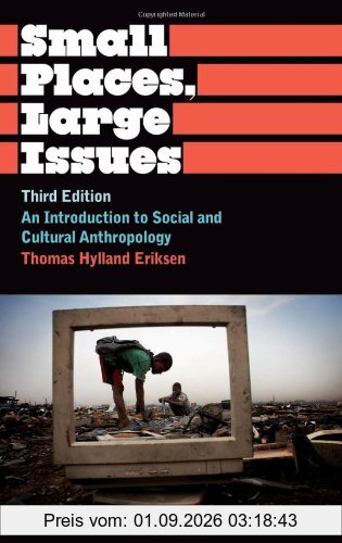 Small Places, Large Issues Third Edition: An Introduction to Social and Cultural Anthropology (Anthropology, Culture and Society)