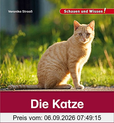 Die Katze: Schauen und Wissen!