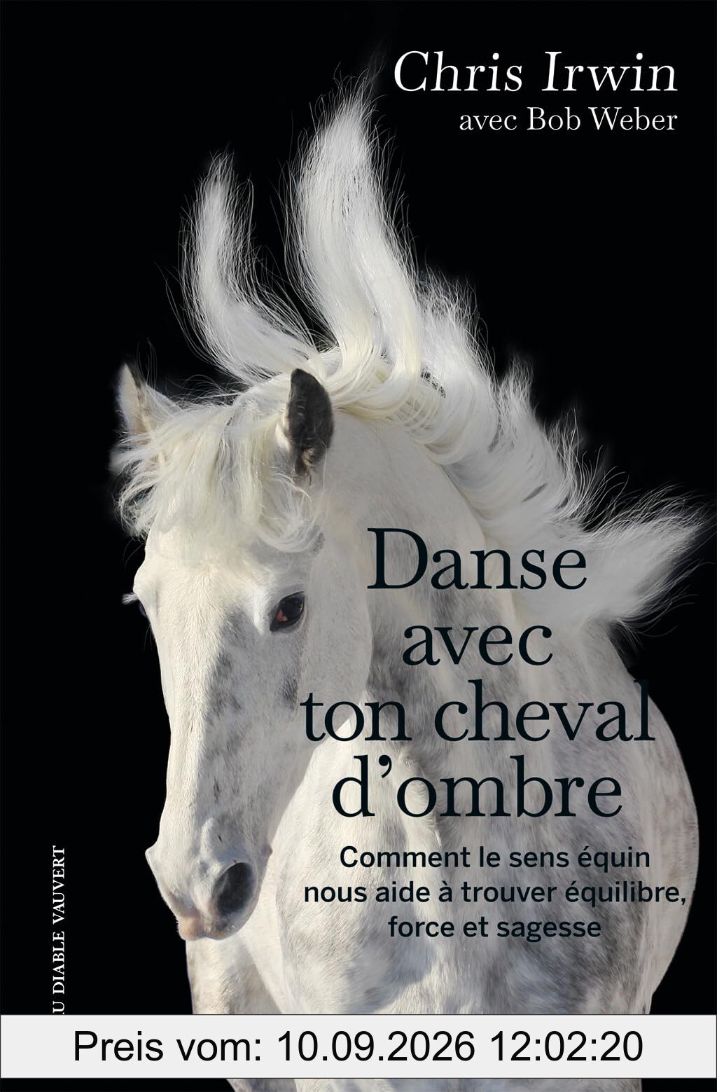 Danse avec ton cheval d'ombre : comment le sens équin nous aide à trouver équilibre, force et sagesse : un guide de développement personnel du cavalier