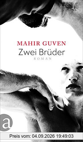 Zwei Brüder: Roman