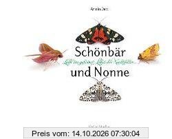 Schönbär und Nonne: Licht ins geheime Leben der Nachfalter