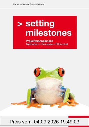 Setting Milestones - Projektmanagement Methoden, Prozesse, Hilfsmittel