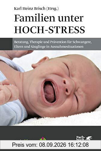 Familien unter Hoch-Stress: Beratung, Therapie und Prävention für Schwangere, Eltern und Säuglinge in Ausnahmesituationen