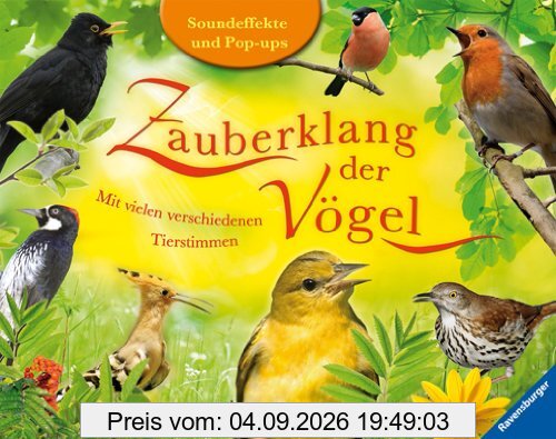 Zauberklang der Vögel