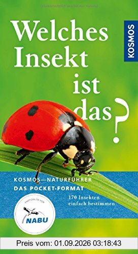 Welches Insekt ist das?: 170 Insekten einfach bestimmen