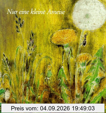 Nur eine kleine Ameise