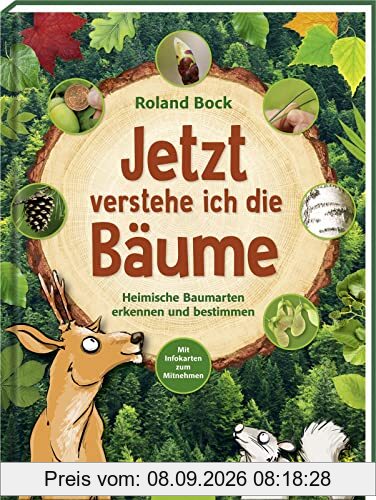Jetzt verstehe ich die Bäume: Heimische Baumarten erkennen und bestimmen – mit Infokarten zum Mitnehmen | Kindersachbuch zu den 14 wichtigsten Laub- und Nadelbäumen ab 6 Jahren
