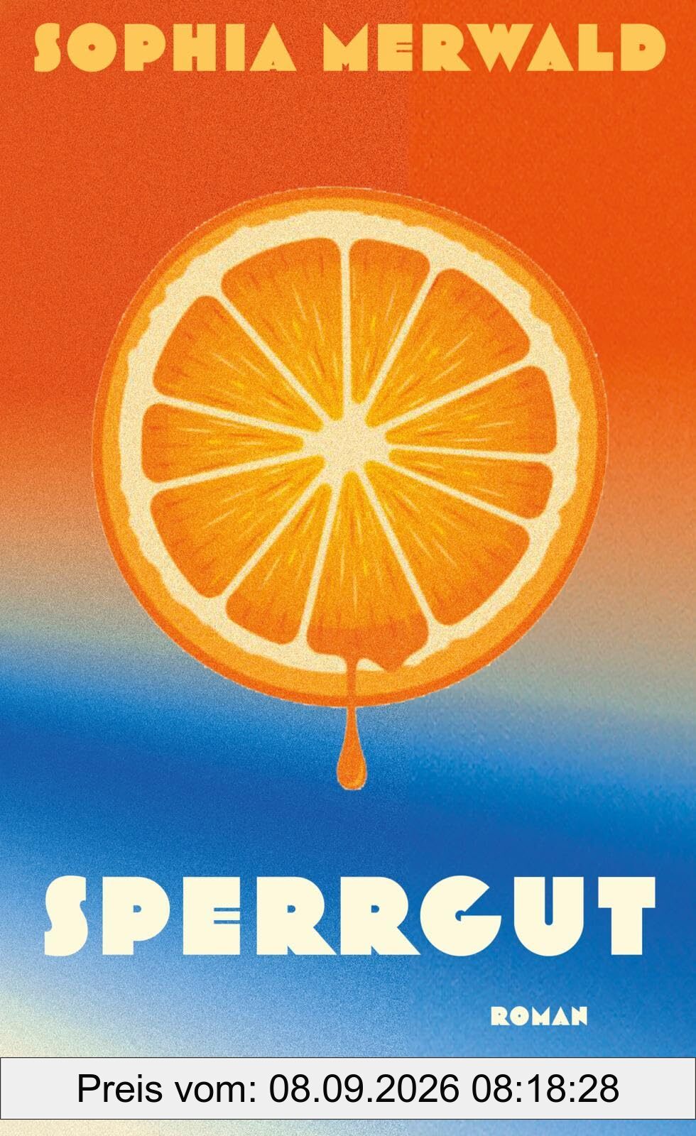 Sperrgut: Roman | Das aufregendste Debüt des Jahres: Eine Geschichte über eine Utopie am Rand der Gesellschaft