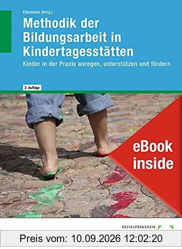 eBook inside: Buch und eBook Methodik der Bildungsarbeit in Kindertagesstätten: Kinder in der Praxis anregen, unterstützen und fördern als Jahreslizenz für das eBook