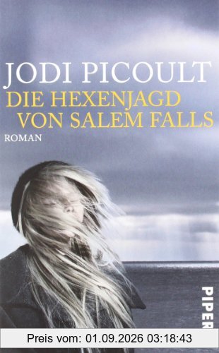 Die Hexenjagd von Salem Falls: Roman