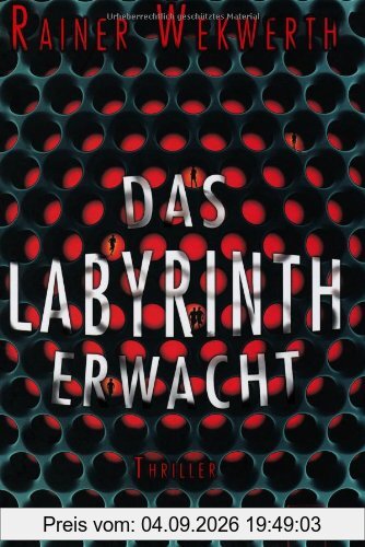 Das Labyrinth erwacht