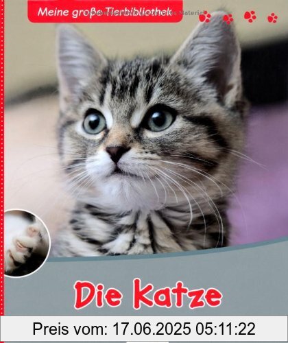 Binding : Gebundene Ausgabe, Edition : Neuauflage., Label : Esslinger Verlag Schreiber, Publisher : Esslinger Verlag Schreiber, medium : Gebundene Ausgabe, numberOfPages : 32, publicationDate : 2010-01-22, authors : Stéphane Frattini, translators : Anne Brauner, languages : german, ISBN : 3480226361