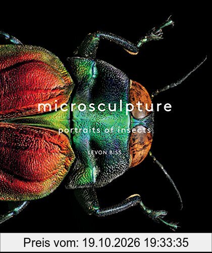 Microsculpture: Portraits of Insects