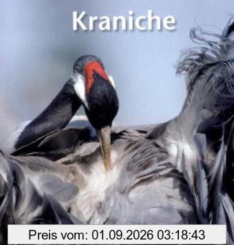 Kraniche