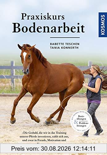 Praxiskurs Bodenarbeit: Basisübungen & Problemlösungen