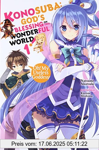 Binding : Taschenbuch, Edition : 01, Label : Yen Press, Publisher : Yen Press, NumberOfItems : 1, PackageQuantity : 1, medium : Taschenbuch, numberOfPages : 176, publicationDate : 2017-02-28, releaseDate : 2017-02-21, authors : Natsume Akatsuki, ISBN : 0316553379