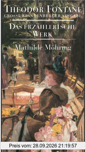 Das erzählerische Werk. Grosse Brandenburger Ausgabe: Mathilde Möhring: Das erzählerische Werk, Band 20. Große Brandenburger Ausgabe: BD 20 …