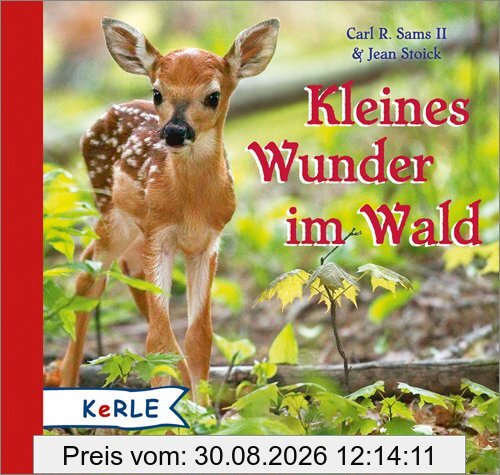 Kleines Wunder im Wald