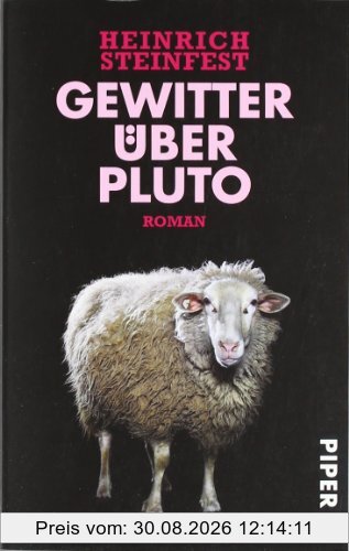 Gewitter über Pluto: Roman