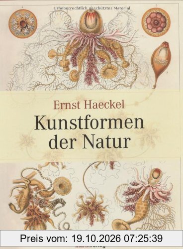 Kunstformen der Natur