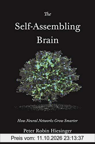 The Self-Assembling Brain - How Neural Networks Grow Smarter