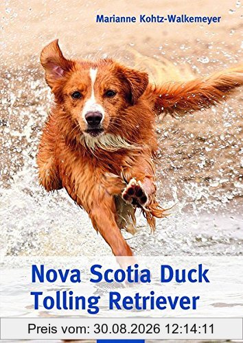 Nova Scotia Duck Tolling Retriever
