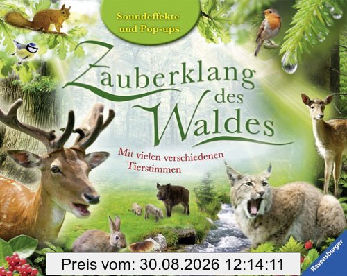 Zauberklang des Waldes