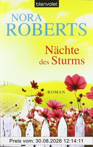 Nächte des Sturms: Roman