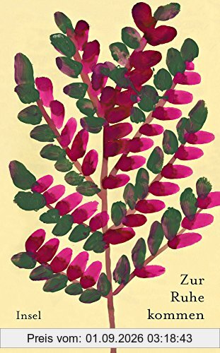 Zur Ruhe kommen: Geschichten und Gedichte (insel taschenbuch)