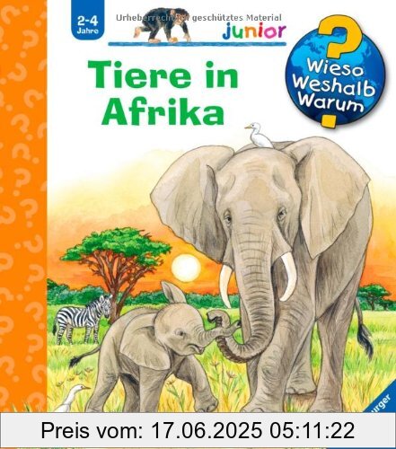 Brand : Ravensburger, Binding : Spiralbindung, Edition : 1, Label : Ravensburger Buchverlag, Publisher : Ravensburger Buchverlag, Feature : L x B x H : 20x18x2 cm, medium : Sonstige Einbände, numberOfPages : 16, publicationDate : 2013-07-01, authors : Daniela Prusse, languages : german, ISBN : 3473328855