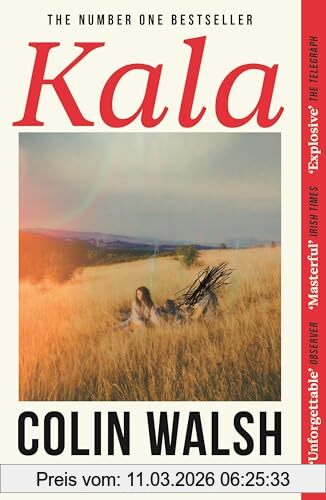 Colin Walsh Kala, 'A Spectacular Read For Donna Tartt And Tana French Fans'