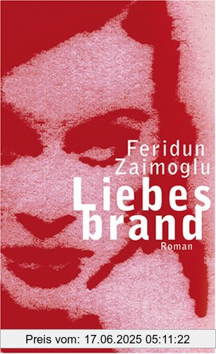 Binding : Gebundene Ausgabe, Edition : 7, Label : Kiepenheuer&Witsch, Publisher : Kiepenheuer&Witsch, medium : Gebundene Ausgabe, numberOfPages : 384, publicationDate : 2008-02-19, authors : Feridun Zaimoglu, languages : german, ISBN : 3462039695