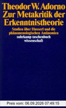 Zur Metakritik der Erkenntnistheorie: Studien über Husserl und die phänomenologischen Antinomien (suhrkamp taschenbuch wissenschaft)