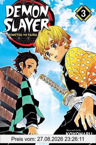 Demon Slayer: Kimetsu no Yaiba, Vol. 3