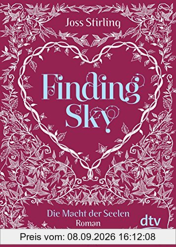 Finding Sky Die Macht der Seelen: Roman