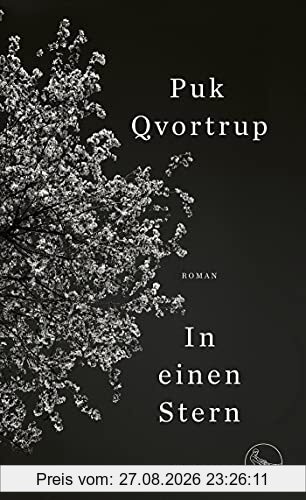 In einen Stern: Roman