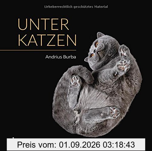Unter Katzen