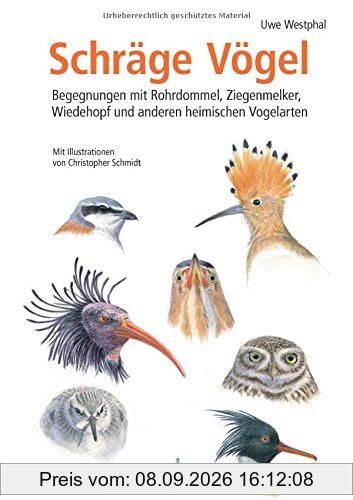 Schräge Vögel: Begegnungen mit Rohrdommel, Ziegenmelker, Wiedehopf und anderen heimischen Vogelarten
