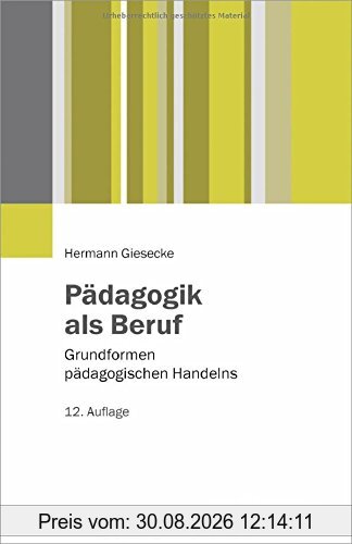 Pädagogik als Beruf: Grundformen pädagogischen Handelns (Juventa Paperback)