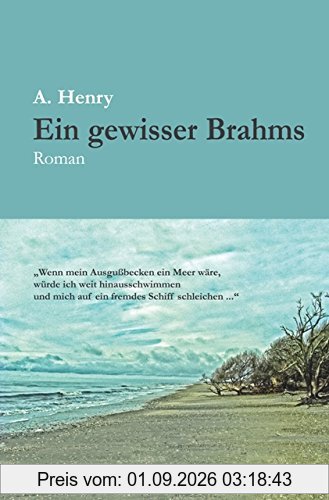 Ein gewisser Brahms: Roman