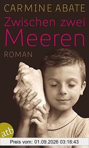 Zwischen zwei Meeren: Roman